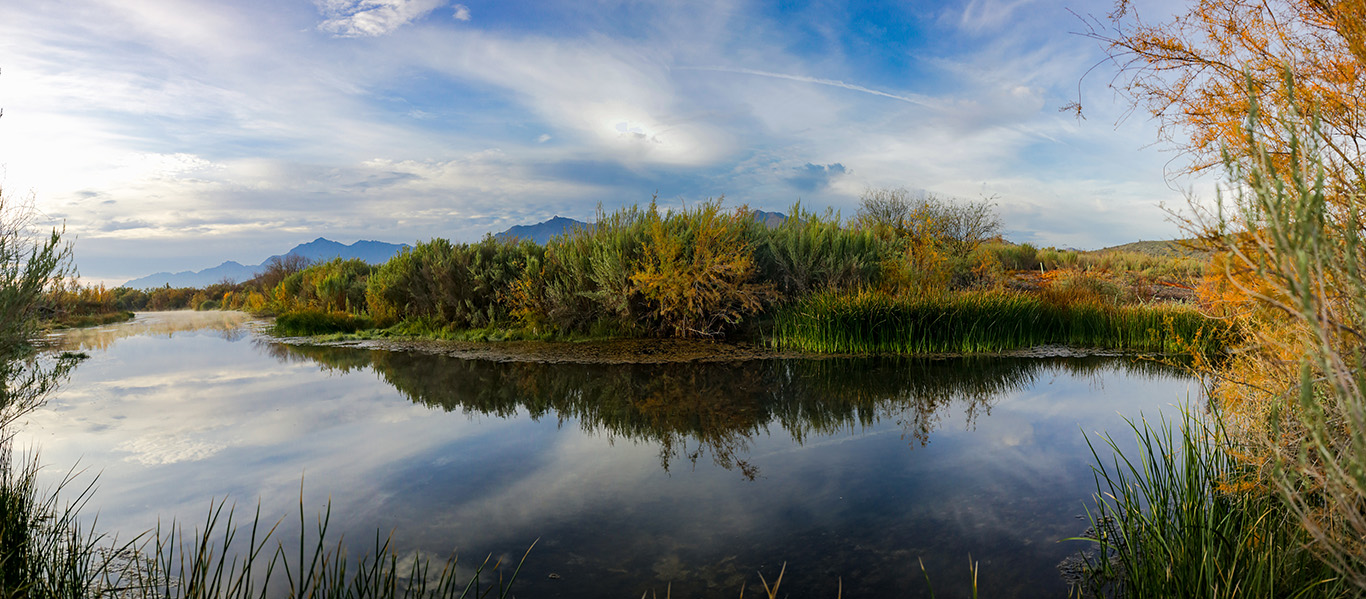 A Photo by Kyle Knox -  Gila River Indian Community District 7 showing landscape with still reflective water, tall grasses, desert shrubs, and a cloudy blue sky, part of the Su:Dagi/Shu:Thag exhibition.