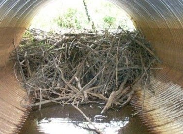 stormwater 1