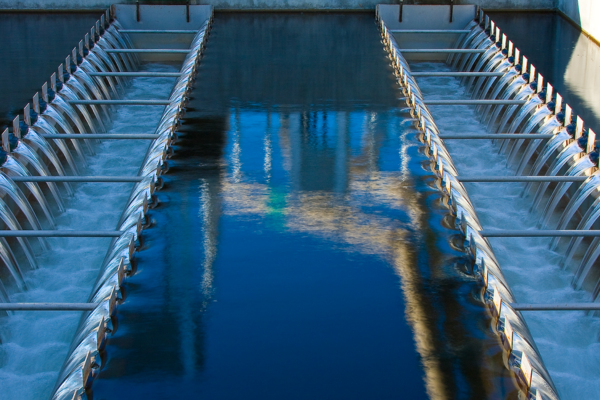 Horizontal Web Image - 2