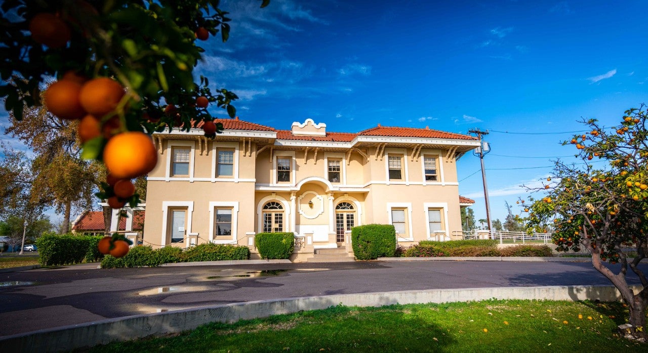 Photo of Norton House, a historic property in Phoenix. It is a large, lightly colored building, and orange fruit grows on nearby trees.
