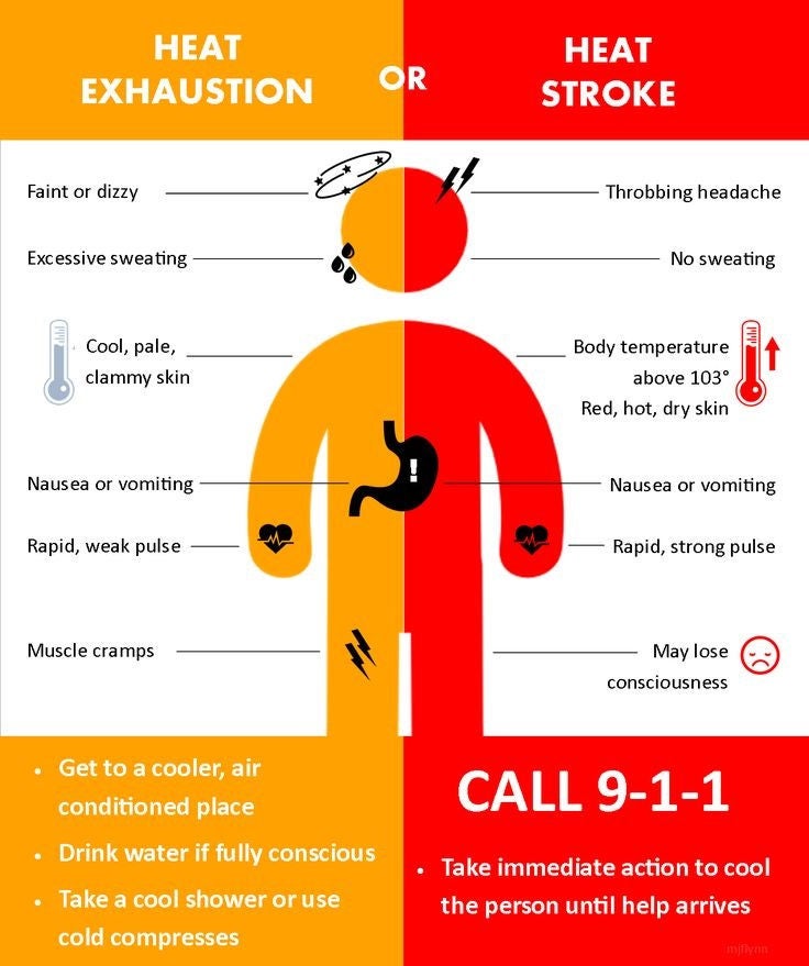 Summer Heat Illness Signs