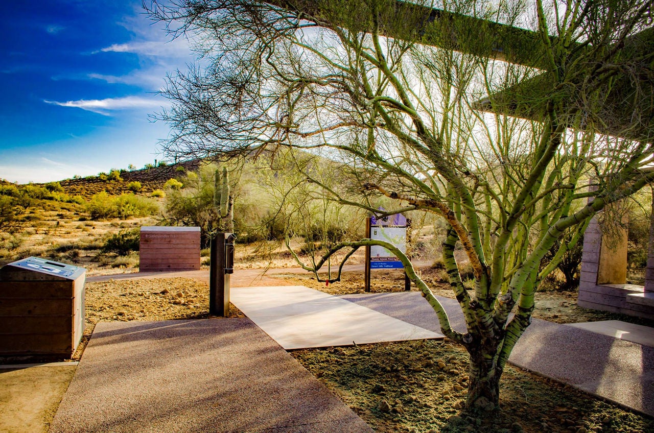 A tree, cactus, trailhead information, and shaded areas are visible in Sonoran Preserve.
