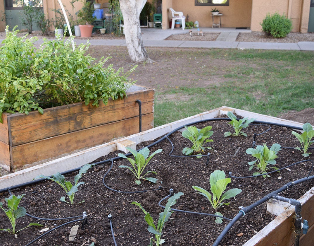 image of maryvale garden