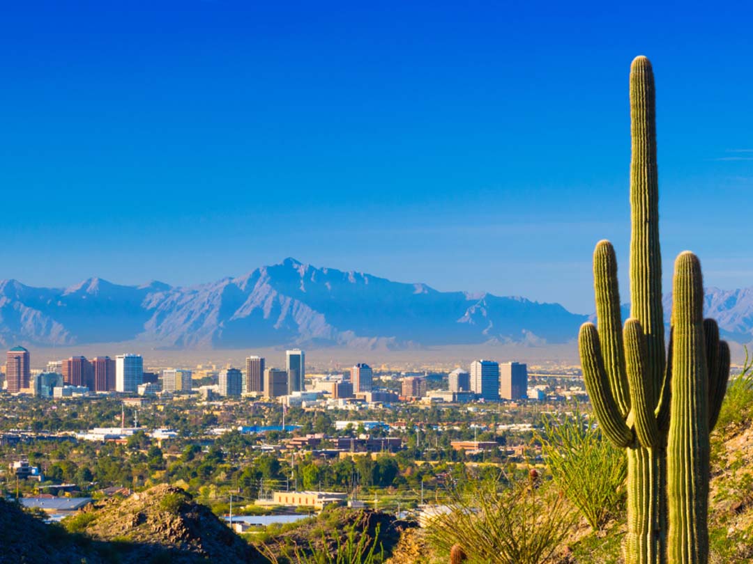 Skyline of Phoenix with cactus in foreground and mountains in background