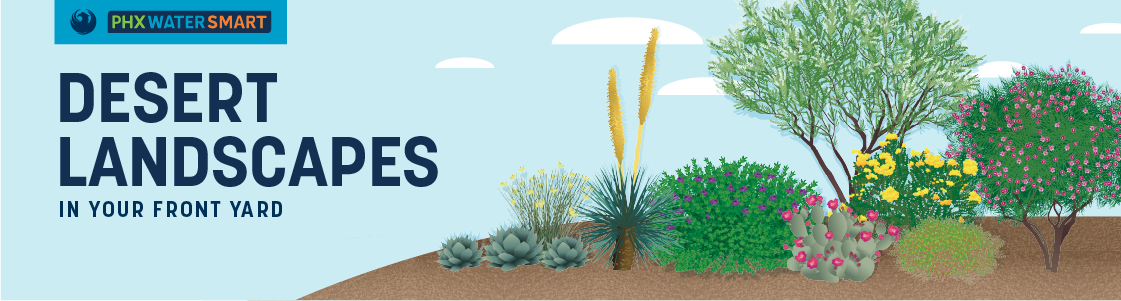 desert landscapes banner 