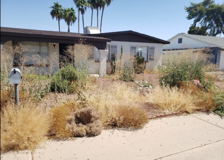 The front yard of a residential property with overgrown brush and dead plants is an example of a common blight violation. 