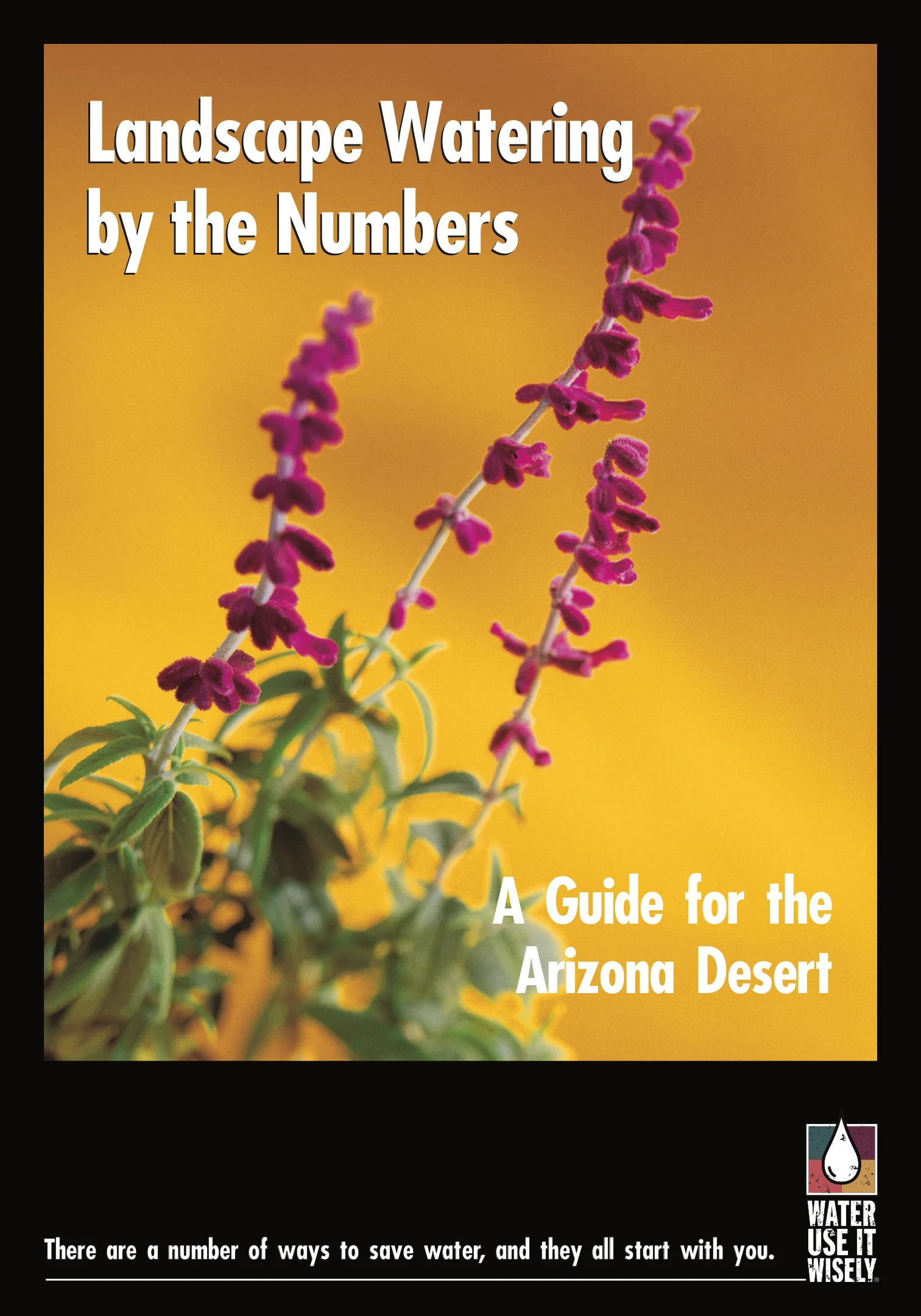 WUIW Landscape Watering By The Numbers Booklet Cover Graphic 