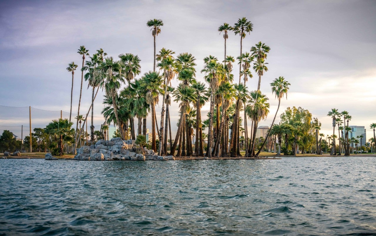 Palm trees surrounded by water.