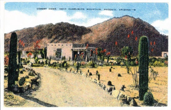 Artwork showing a path surrounded by cacti and stones that leads to a squat building.
