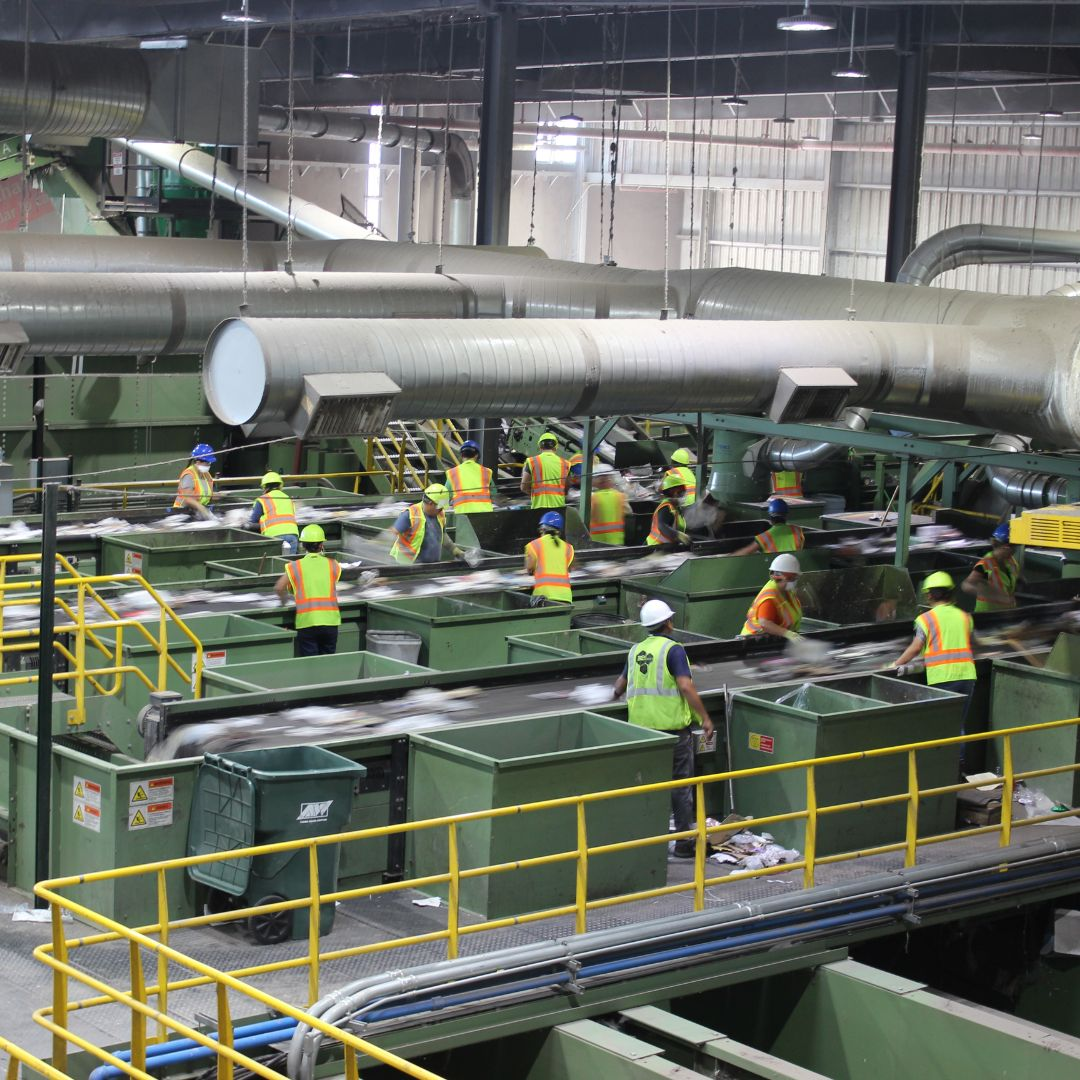 Employees working on the sorting lines.