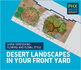 Landscape Plan 3 Cover Graphic