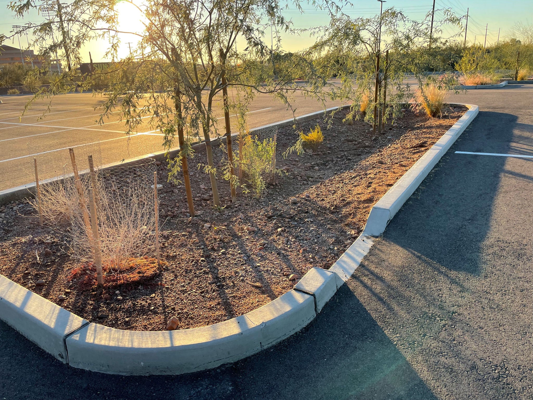 Curb cut basin for water runoff