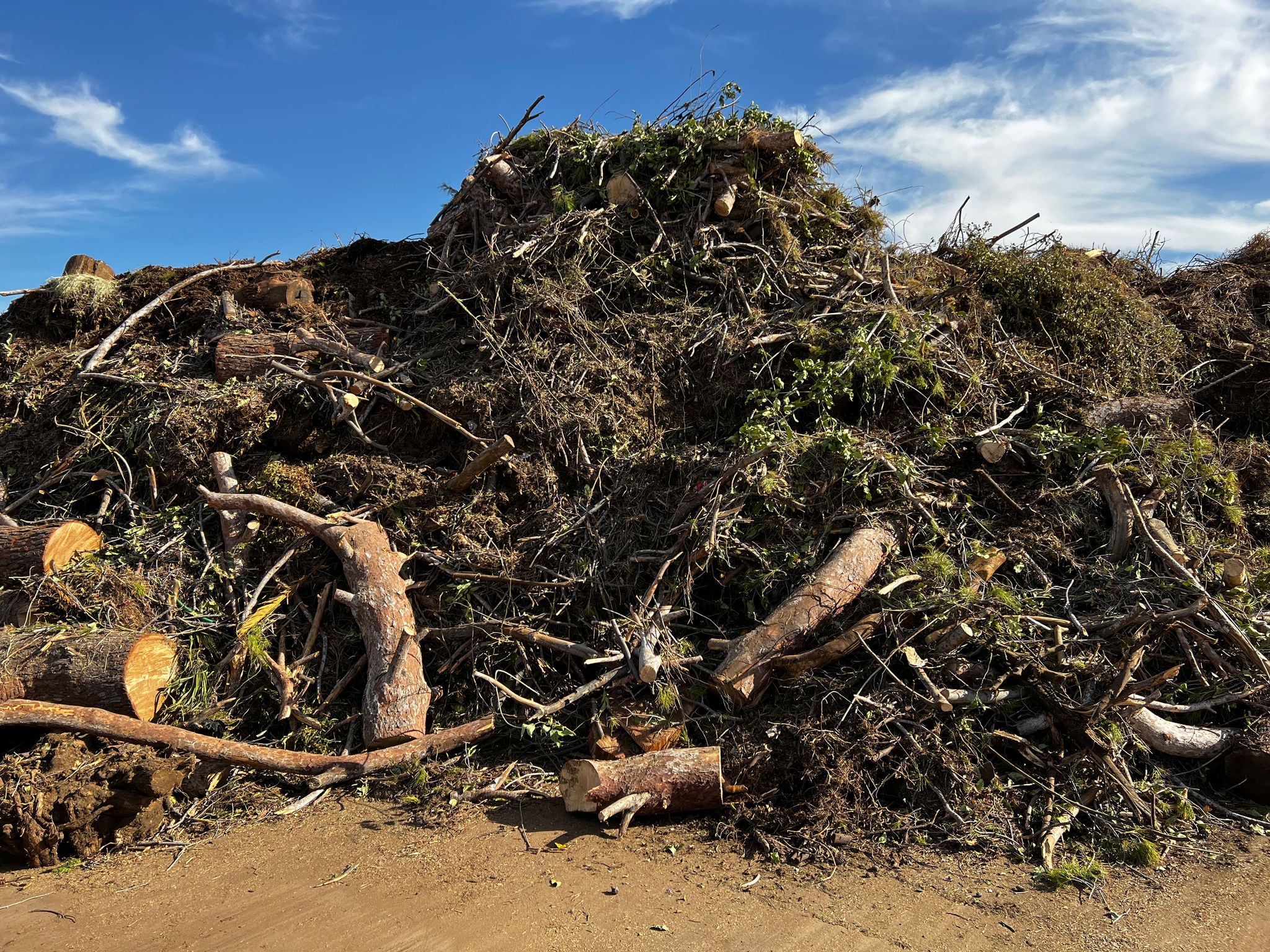 Piles of green waste sit ready to be composted at the 27th Ave. Compost Facility
