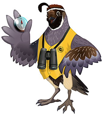 Cartoon quail holding a compass and wearing a yellow vest with the S'edav Va'aki Museum logo on the front.