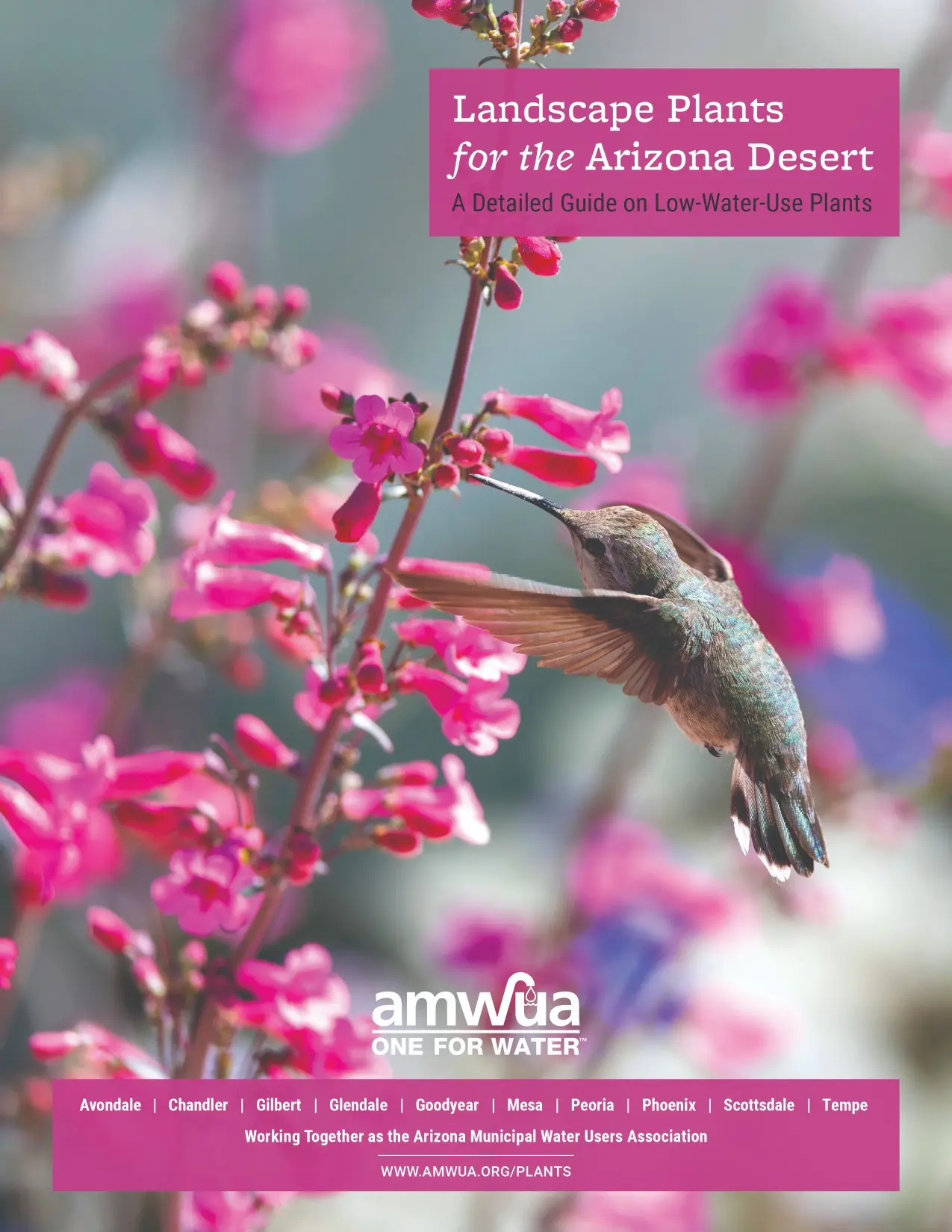 AMWUA Landscape Plants for AZ Desert