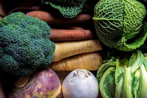 An assortment of fresh vegetables such as carrots, broccoli, and cabbage.