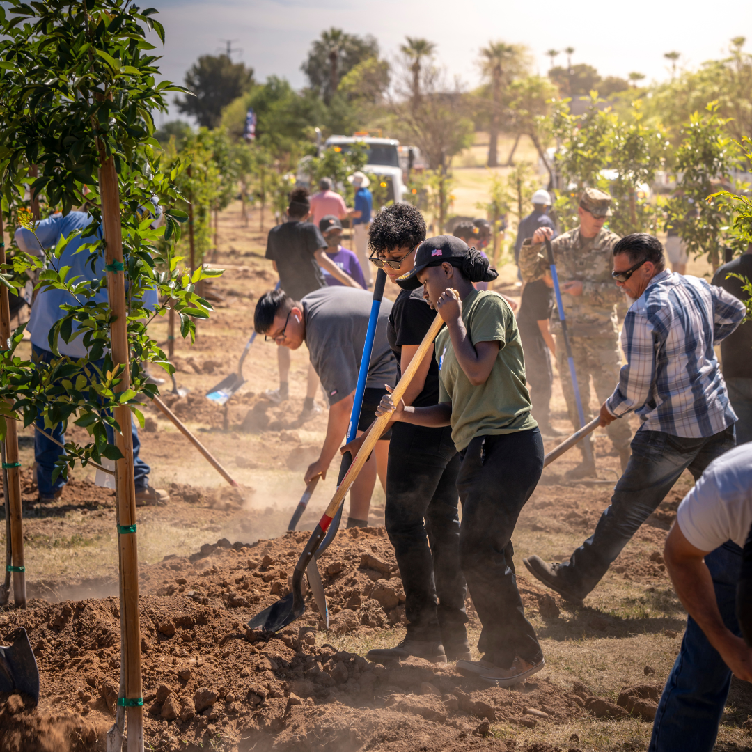 Individuals holding shovels to dig holes for trees.