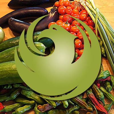 City of Phoenix special icon
