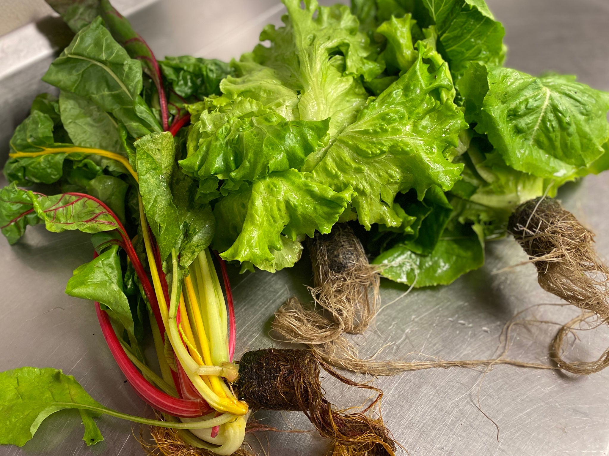 Root vegetables