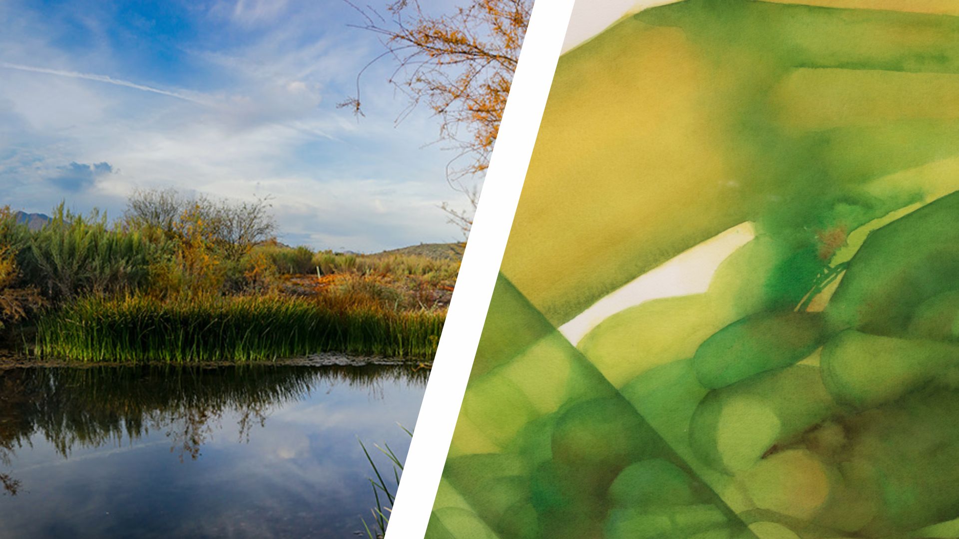 Article from S'edav Va'aki Museum announcing the upcoming closure of two exhibitions. 
